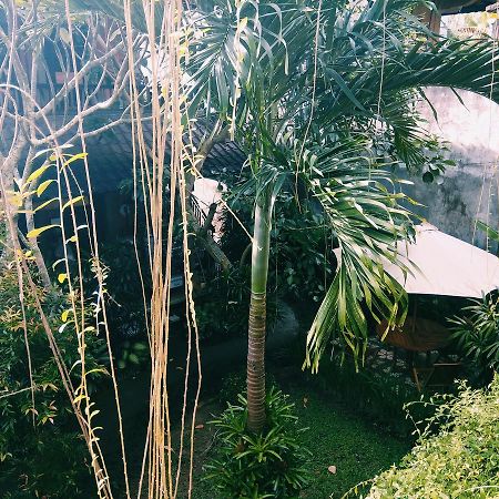 Hotel Nani House 2 Ubud Zewnętrze zdjęcie