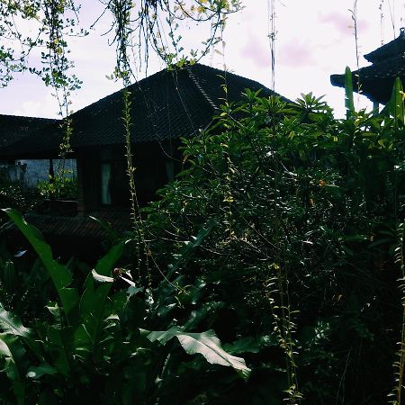 Hotel Nani House 2 Ubud Zewnętrze zdjęcie