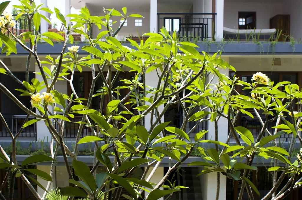 Hotel Nani House 2 Ubud Zewnętrze zdjęcie