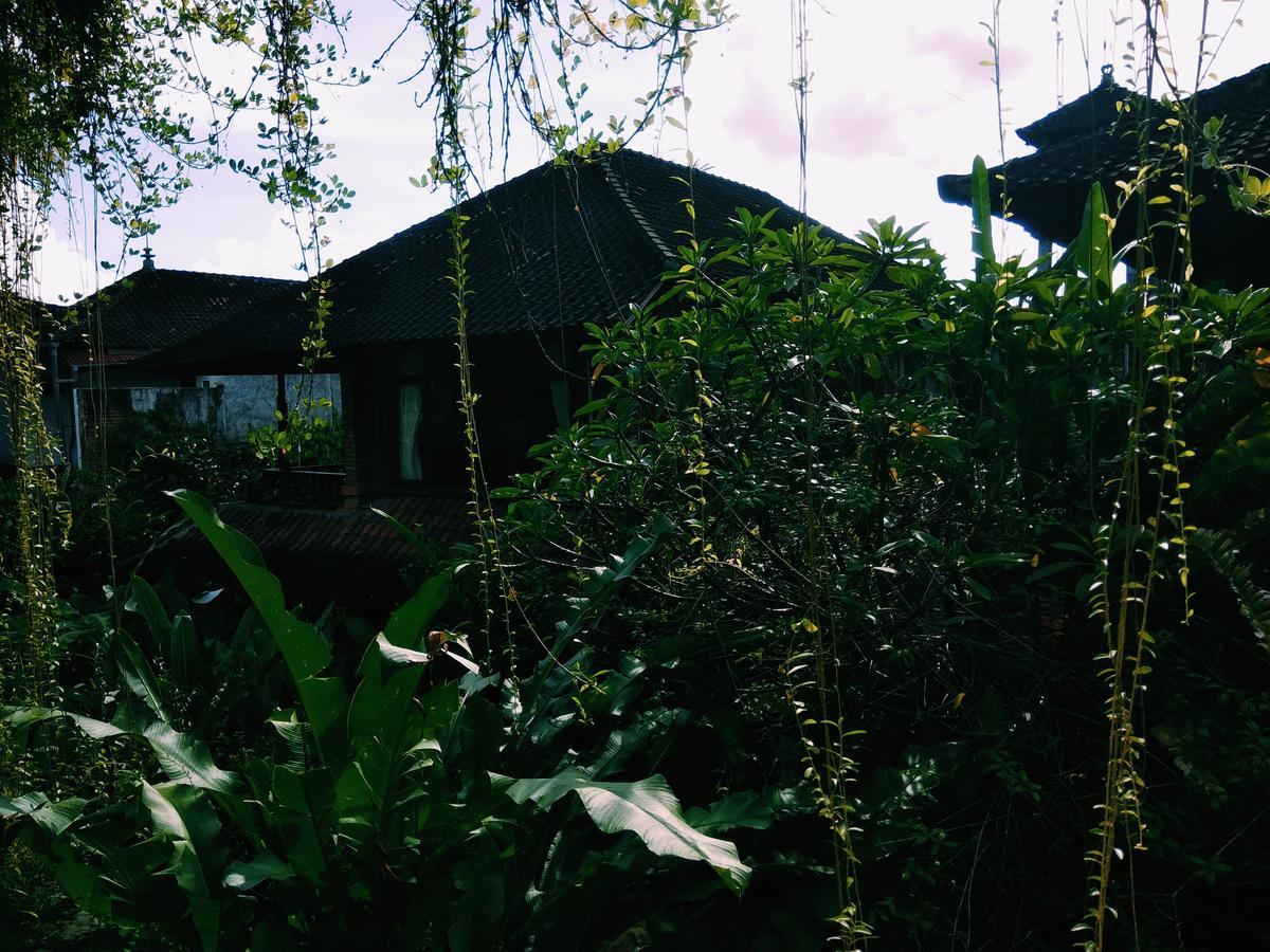 Hotel Nani House 2 Ubud Zewnętrze zdjęcie